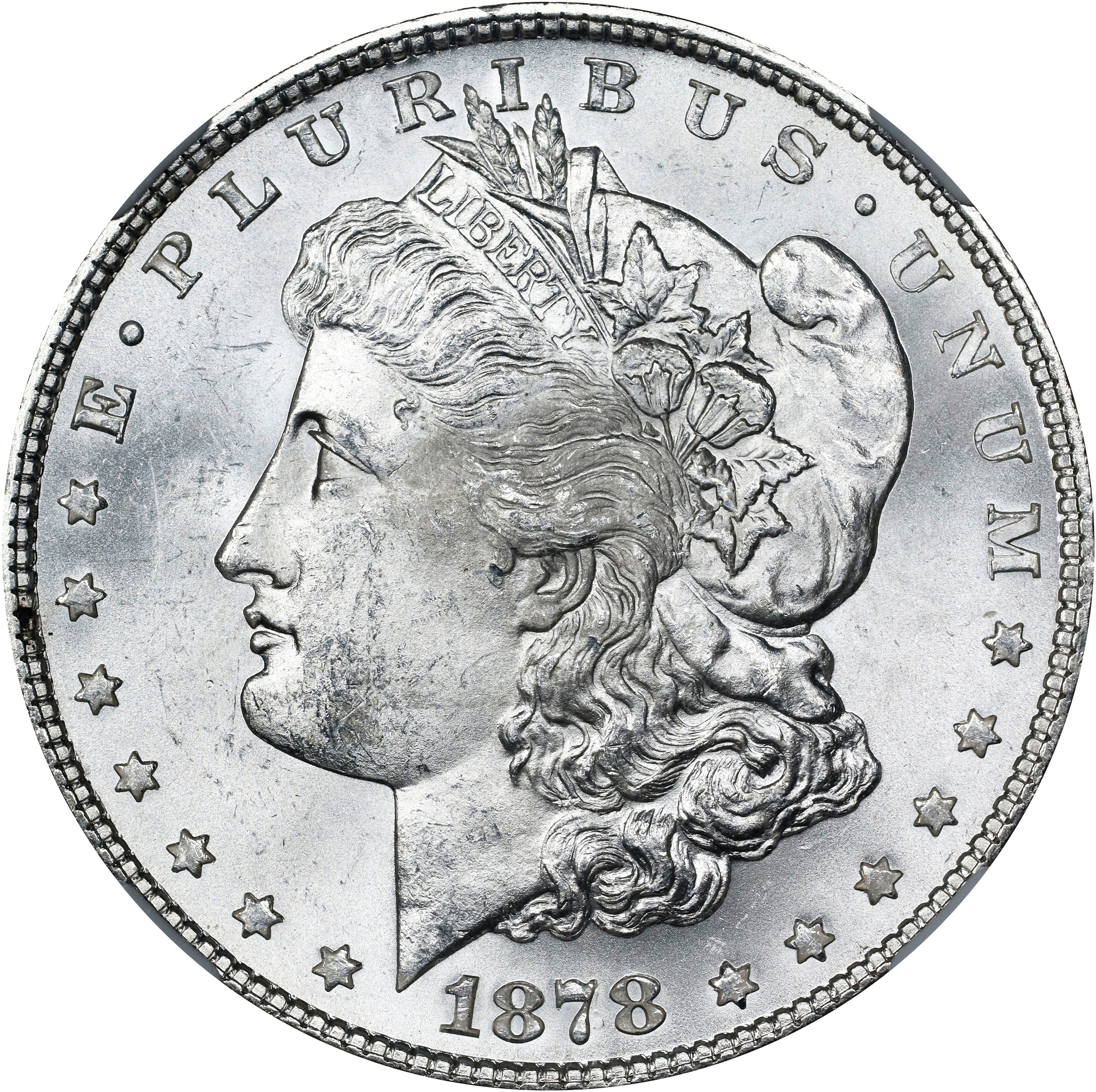 1878 7TF $1  Rev. 1878, Rev. Denticle Impressions, VAM-225A MS thumbnail 9