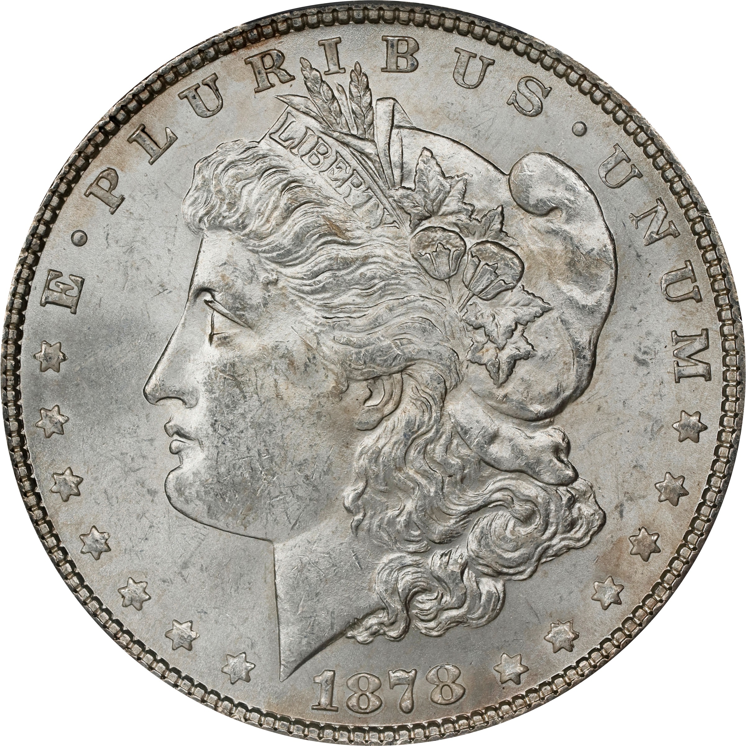1878 7TF $1  Rev. 1878, Rev. Denticle Impressions, VAM-225A MS thumbnail 11