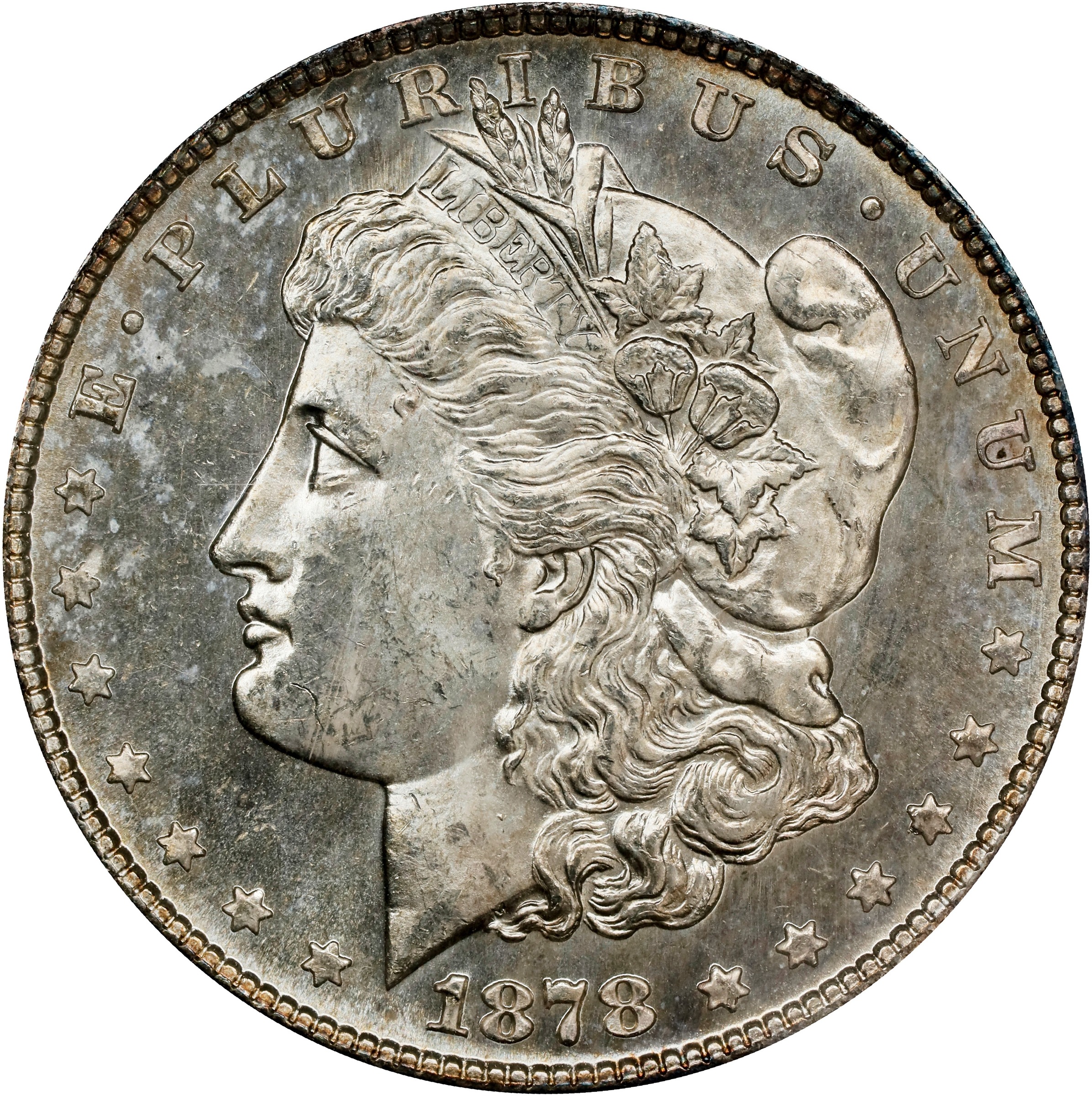 1878-S $1  Denticle Impressions, VAM-17A MS PL thumbnail 2