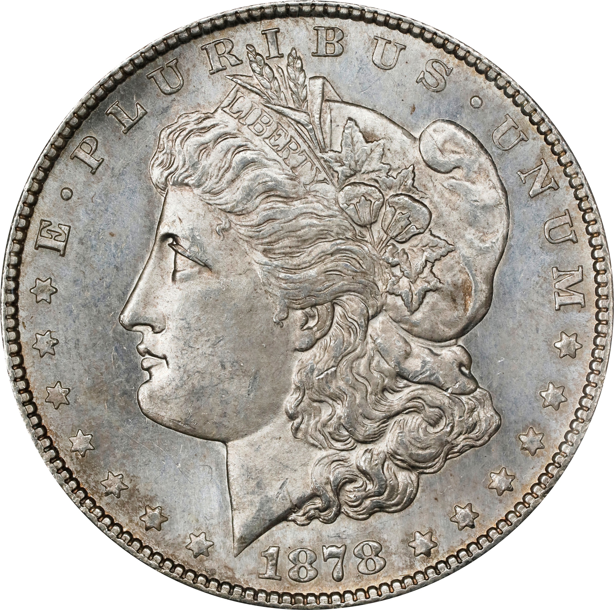 1878-S $1  Dragon Scales, VAM-118 MS thumbnail 2
