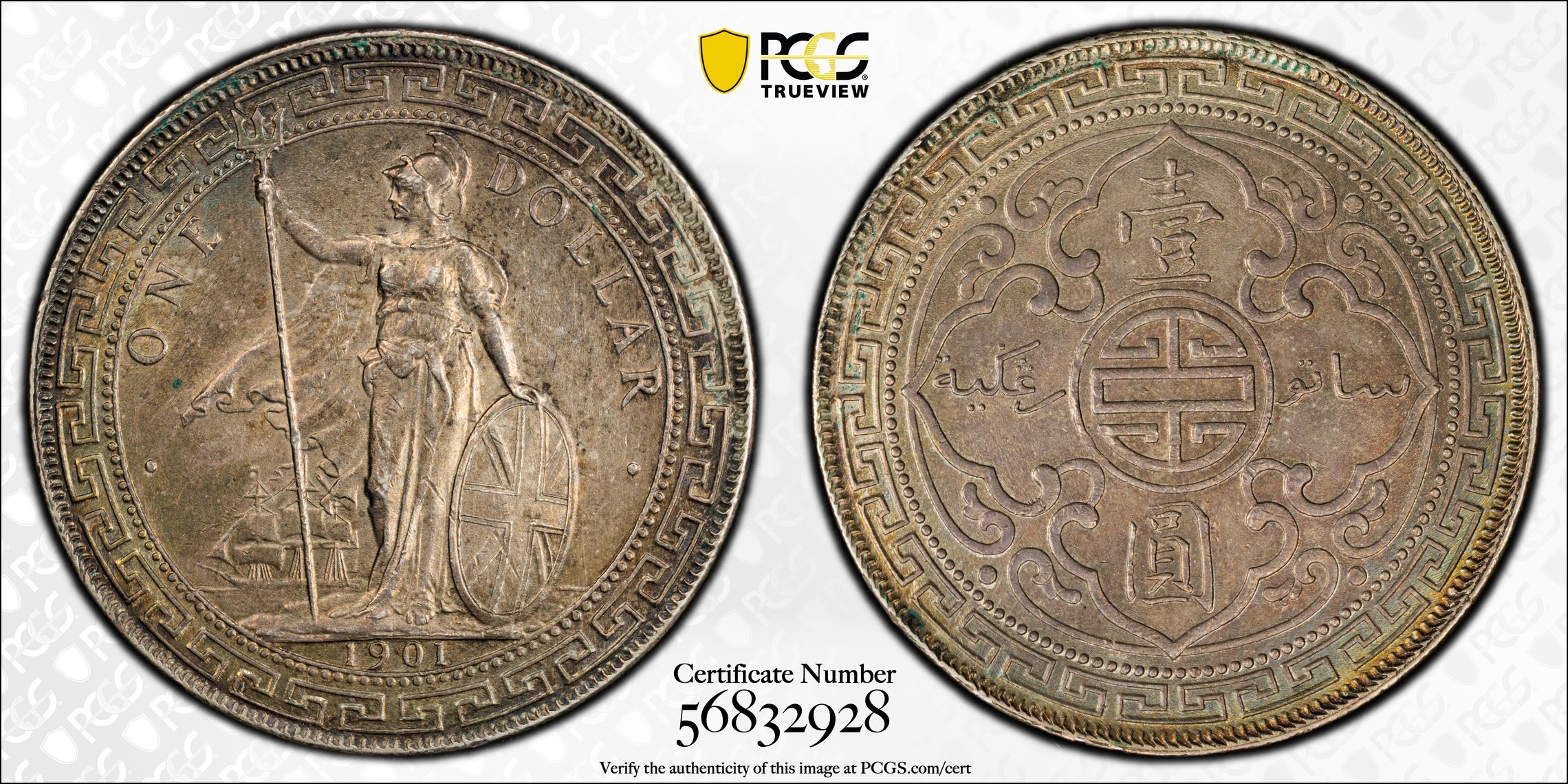 1901-C     Trade$ MS (KMT5) thumbnail 11