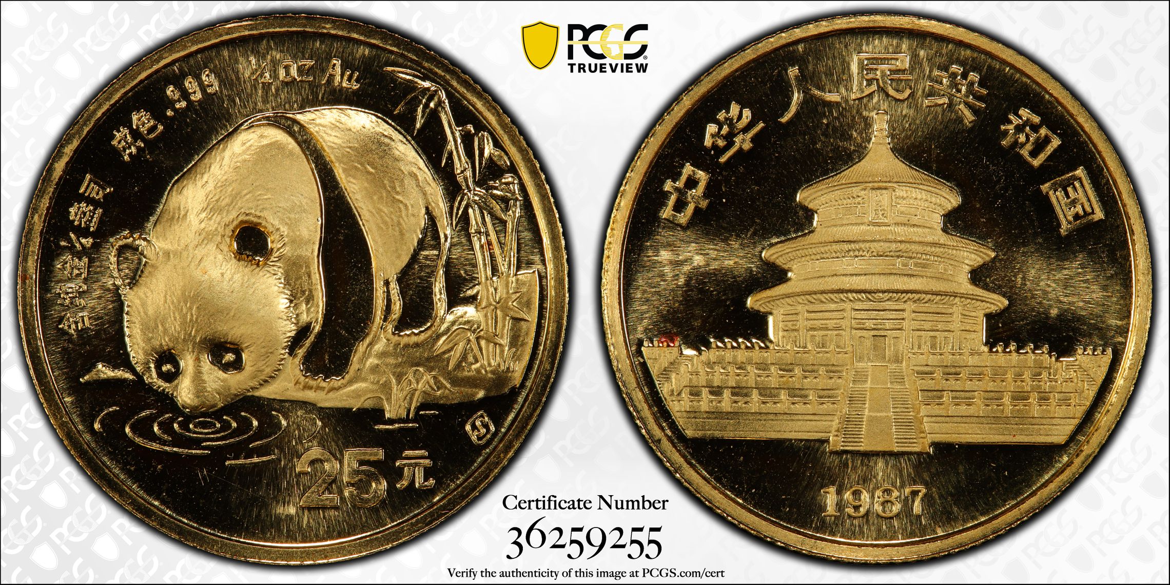 1988 G25Y 1/4oz Gold, Panda MS (PAN71A) thumbnail 11