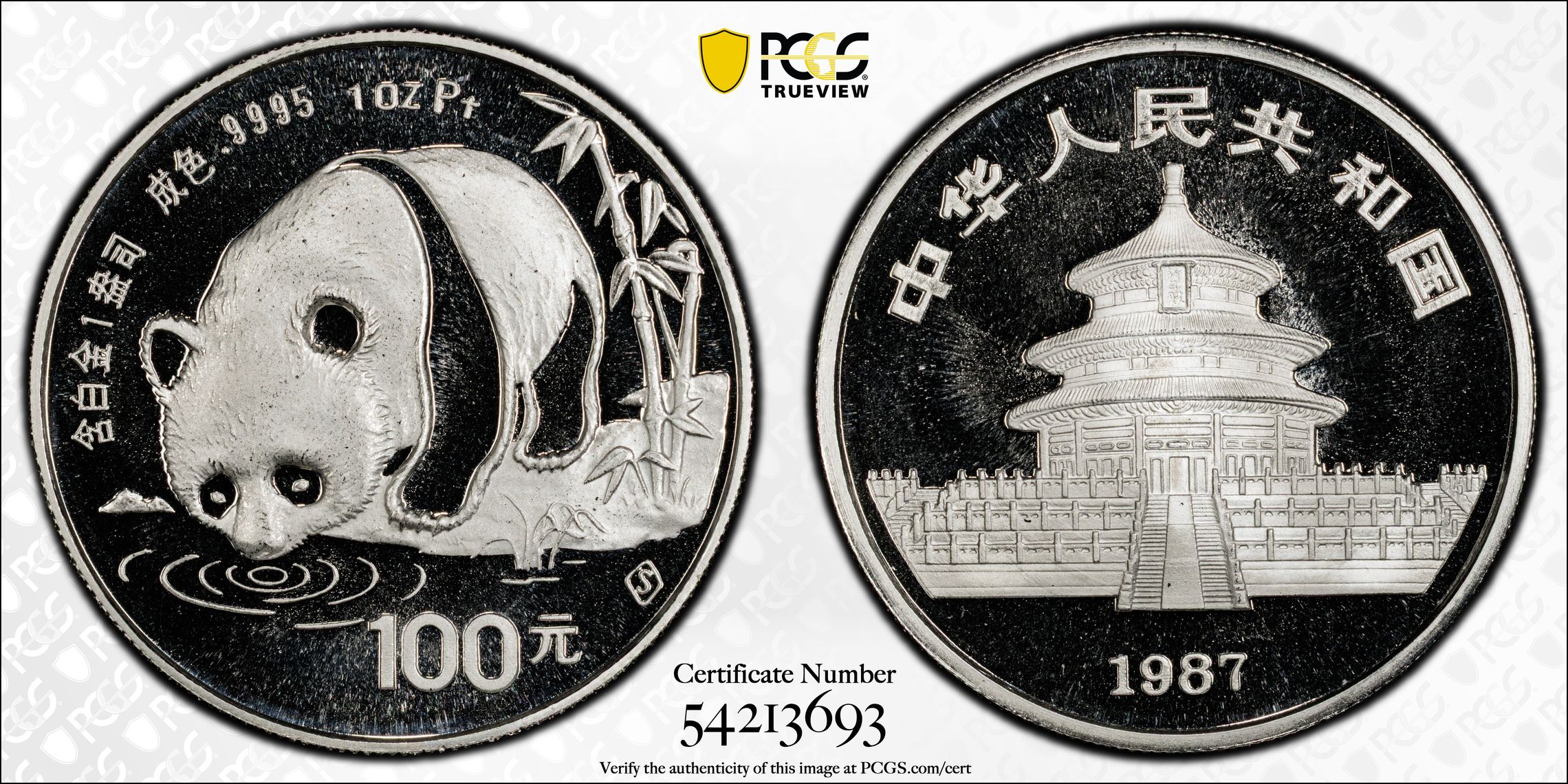 1994 P5Y 1/20oz Platinum, Panda PR DCAM (PAN230A) thumbnail 13