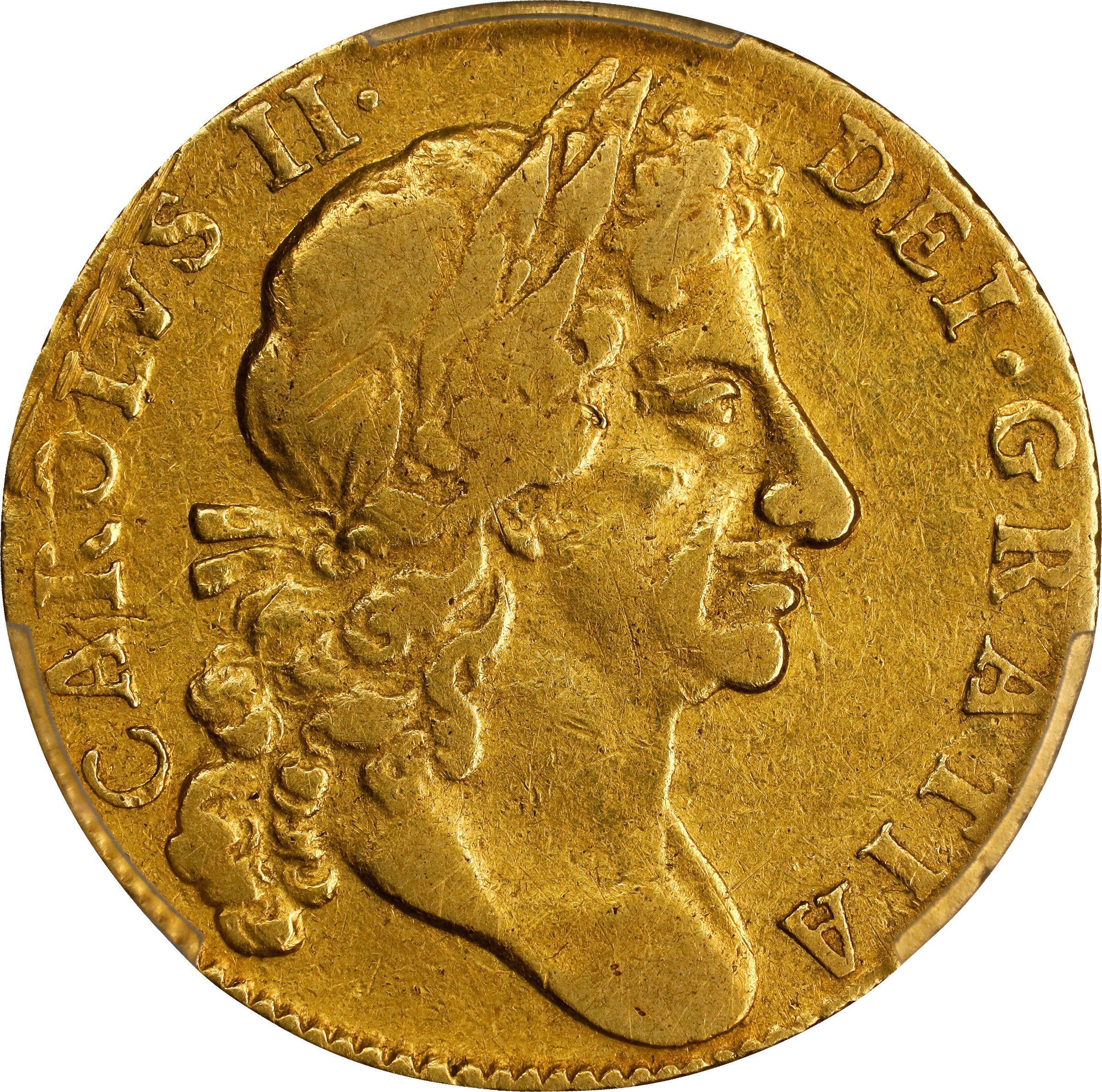 1684 Guinea MS