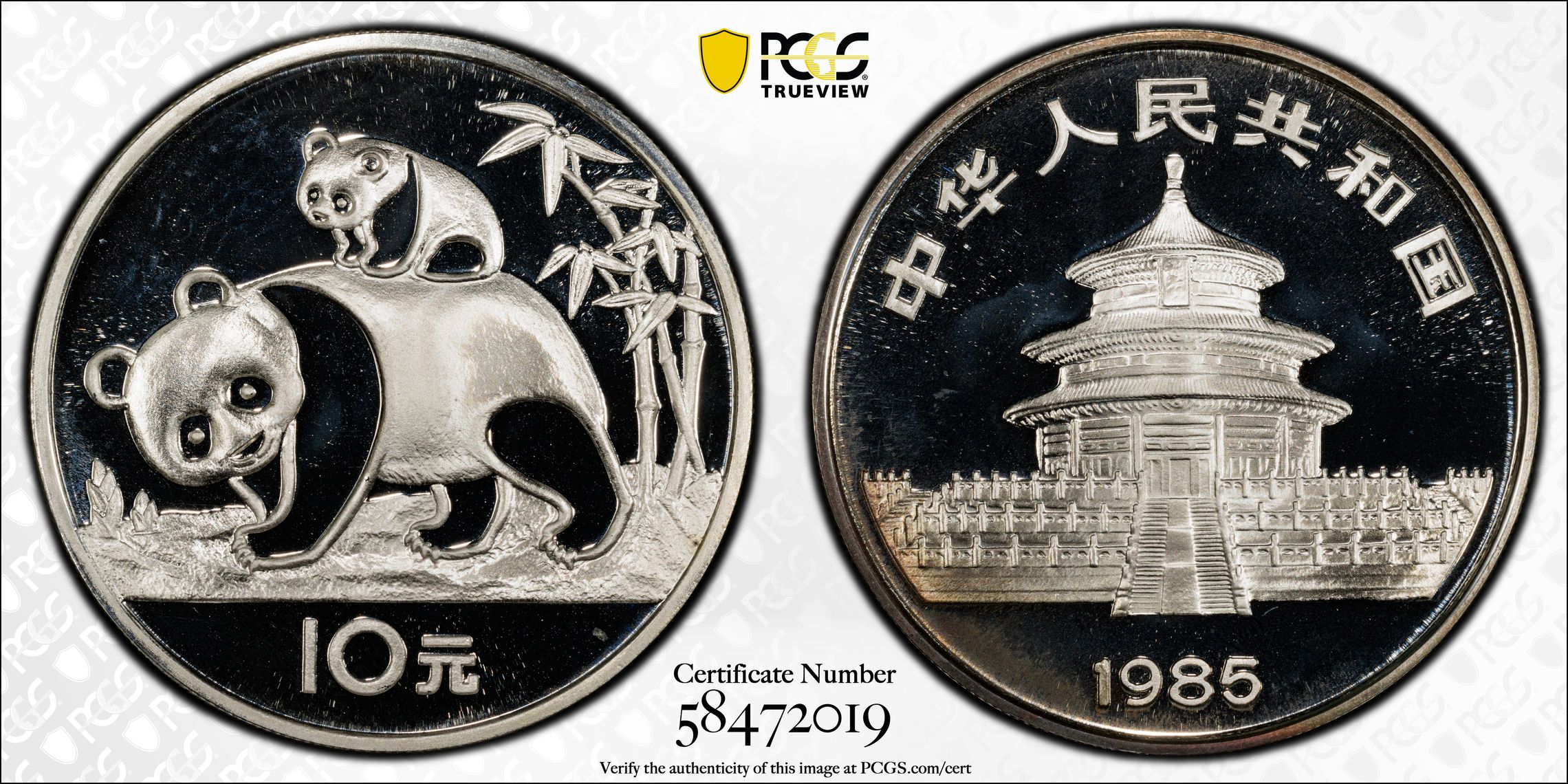 1991-P S10Y 1oz Silver, Panda PR DCAM (PAN156A) thumbnail 16