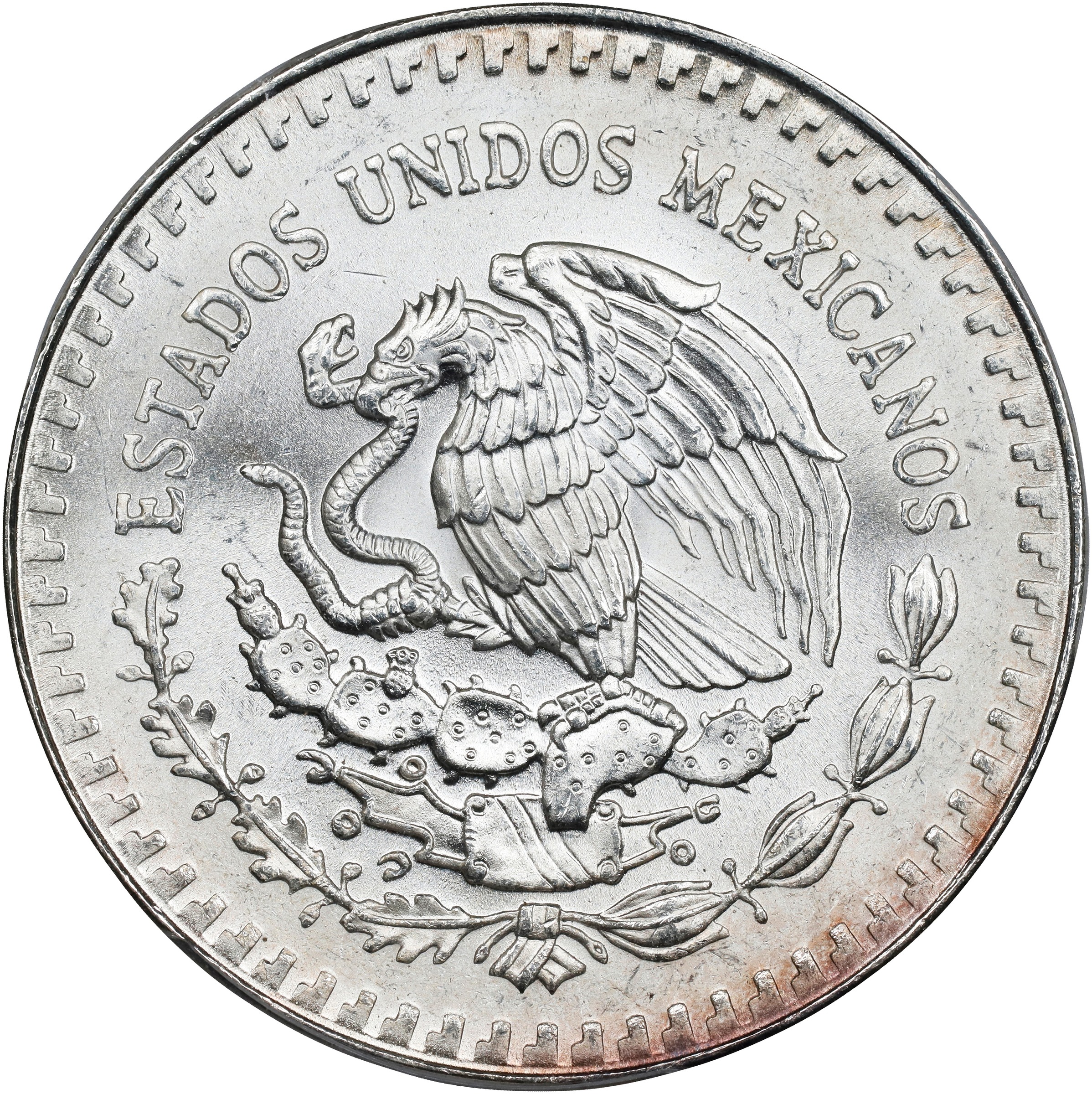 1989-Mo 1 Onza Libertad, Silver, Without Dot MS (KM-494.1) thumbnail 7