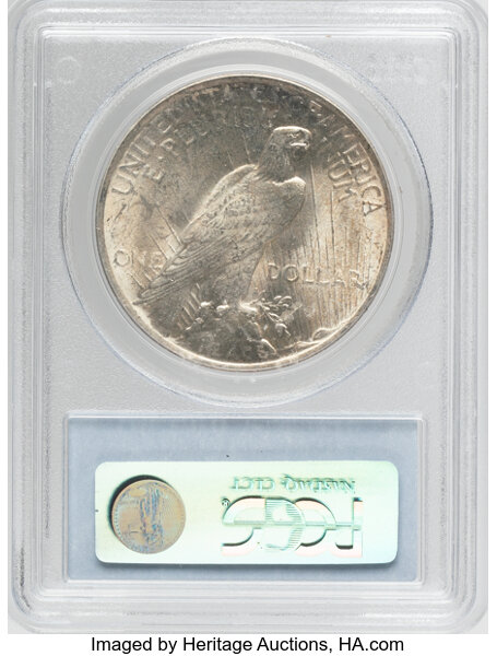 Peace Dollar $1  1921-1935 [Type] MS63 thumbnail 2