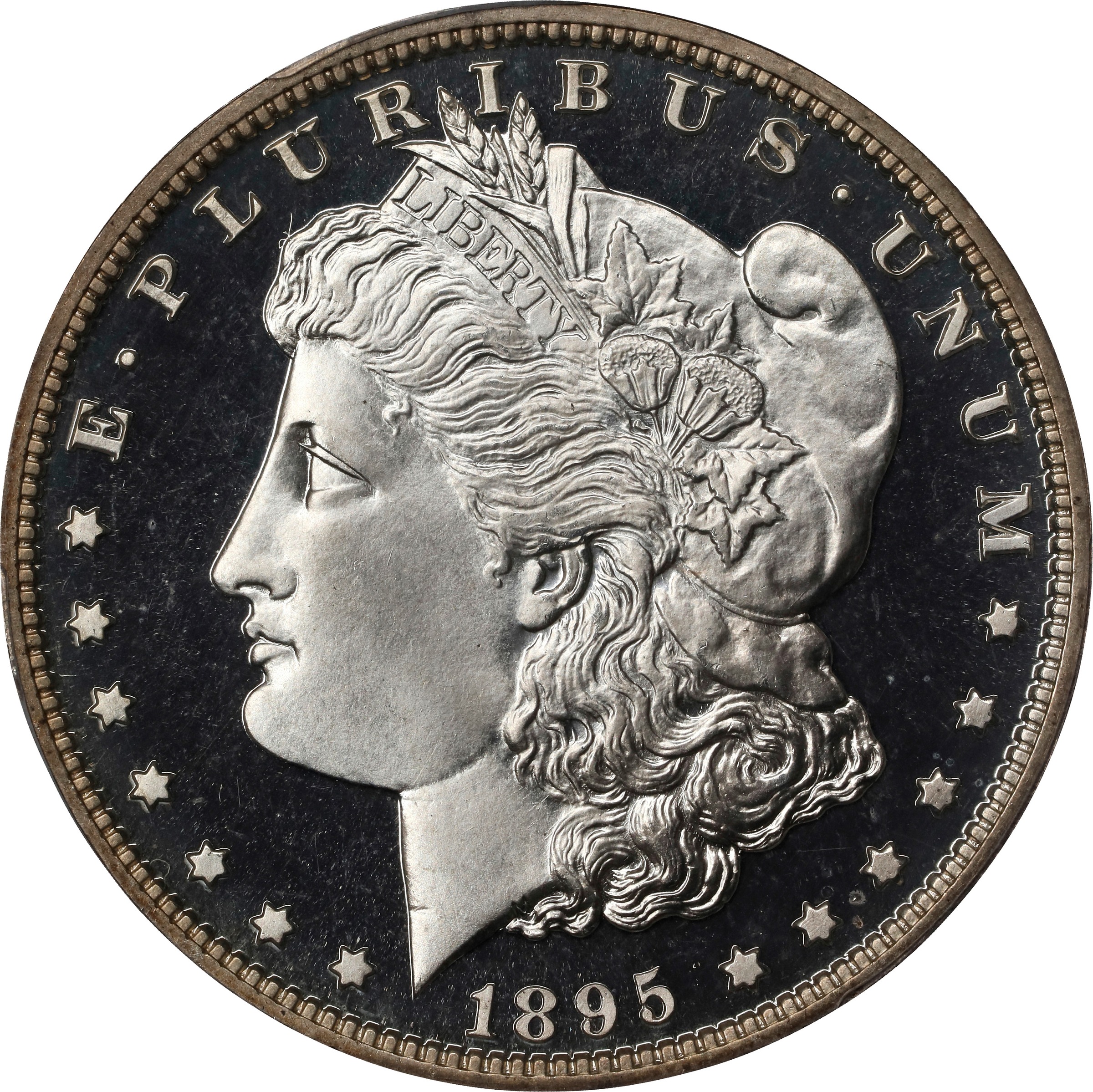 1895 $1  PR DCAM thumbnail 2
