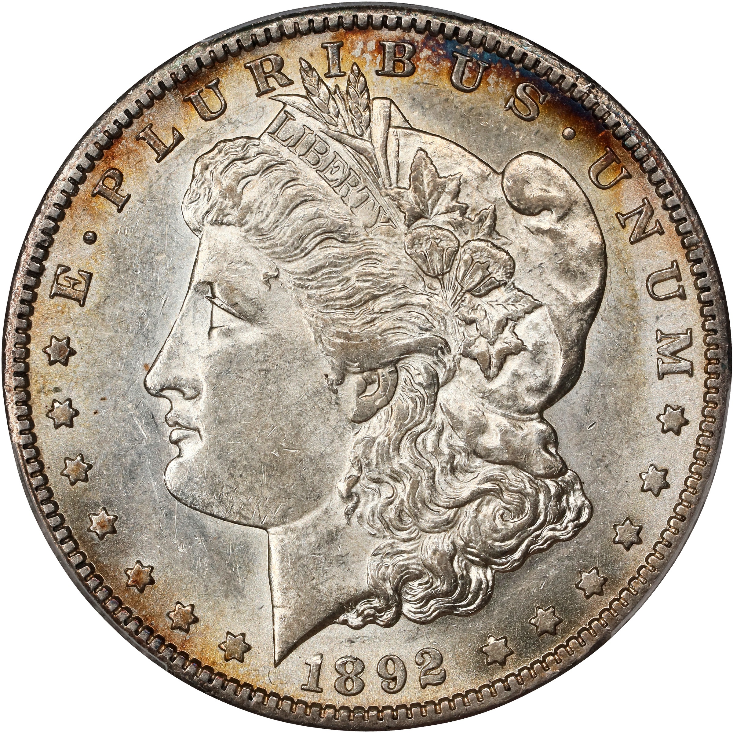 1892-S $1  Doubled 892 Polished, VAM-14 MS thumbnail 4
