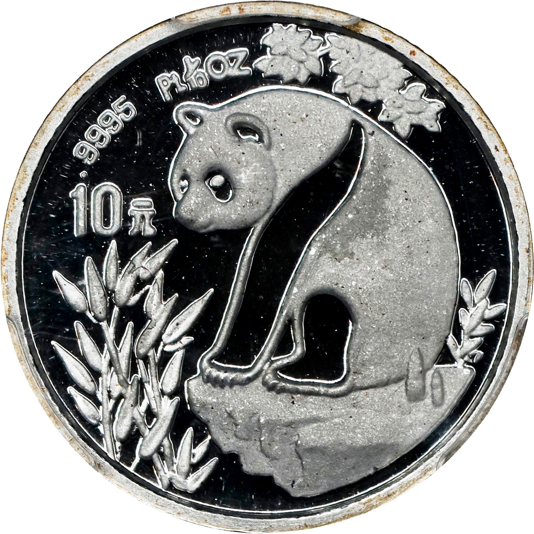 1989 P100Y 1oz Platinum, Panda PR DCAM (PAN105A) thumbnail 3