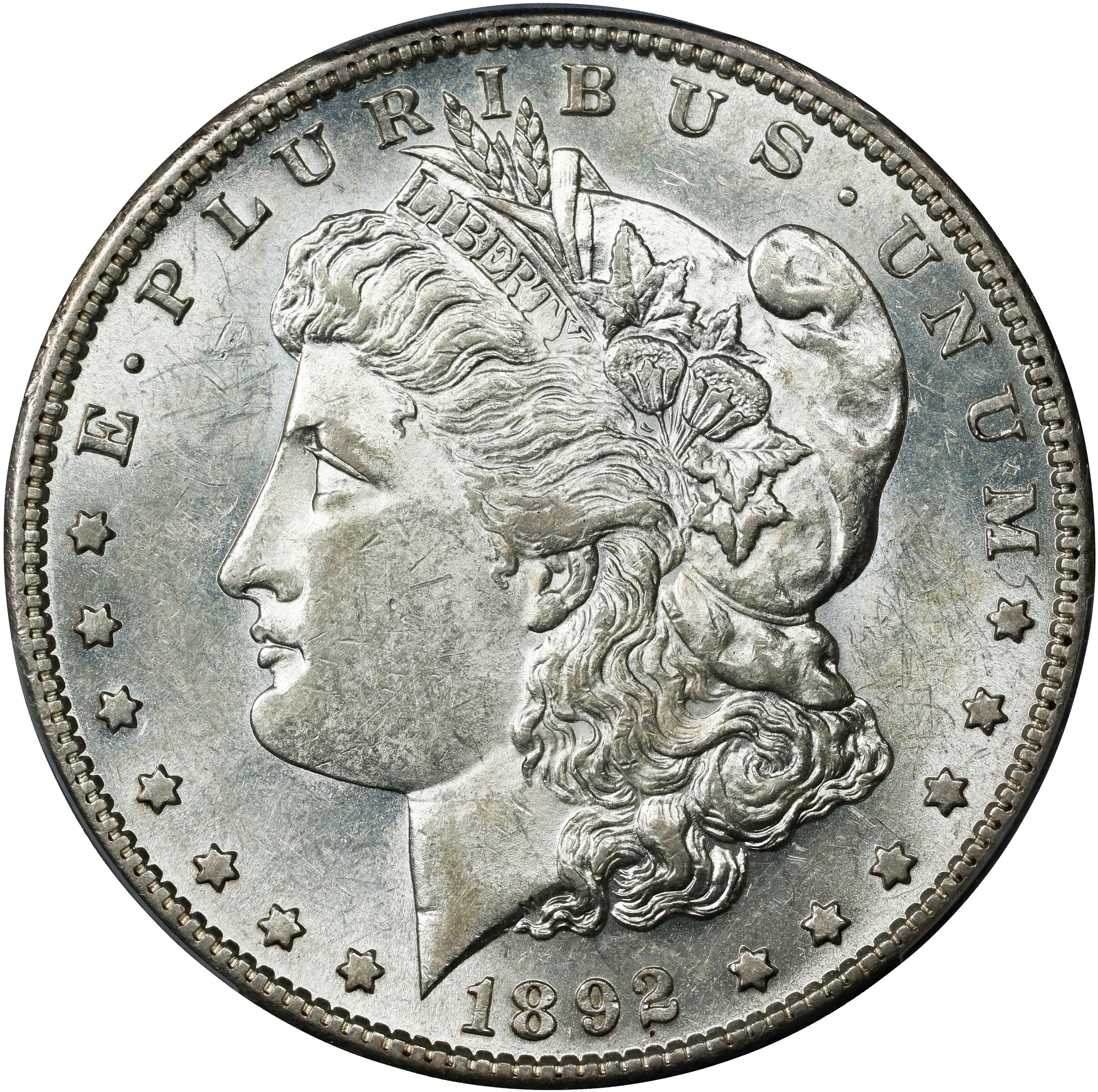 1892-S $1  Doubled 892 Polished, VAM-14 MS thumbnail 2