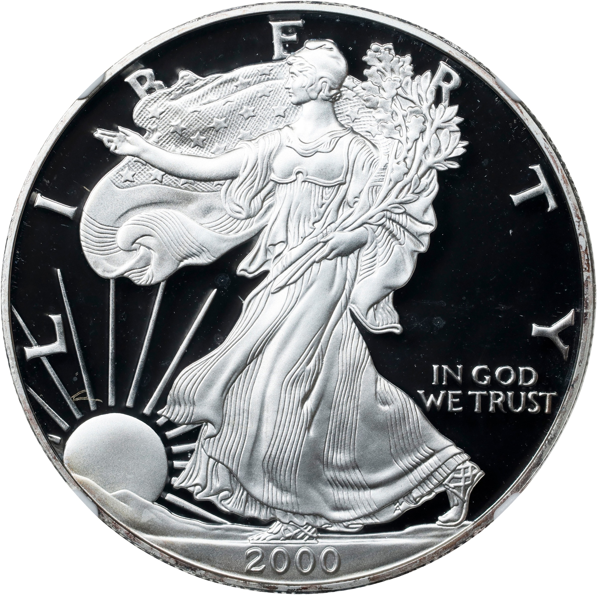 2000-P $1  Silver Eagle PR DCAM thumbnail 3