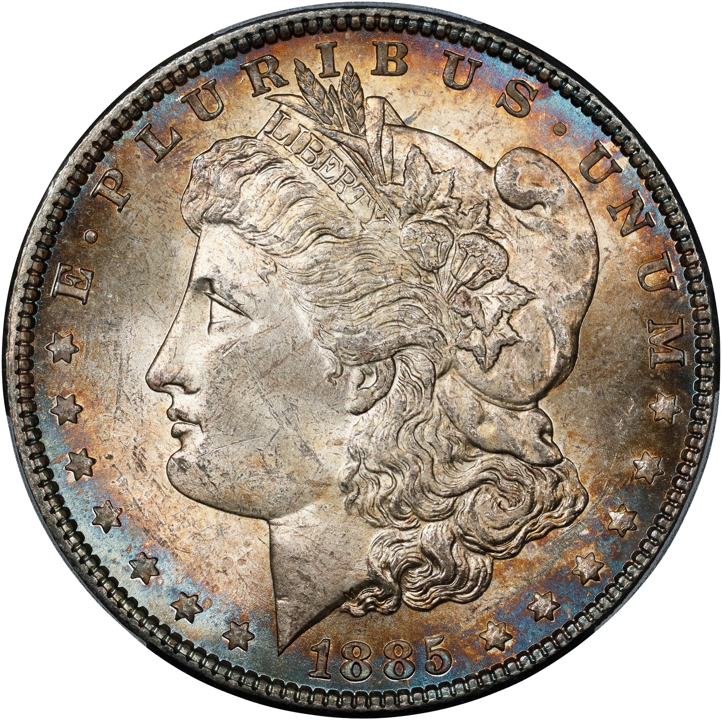 1885 $1  Alligator Eye, VAM-24  MS thumbnail 2