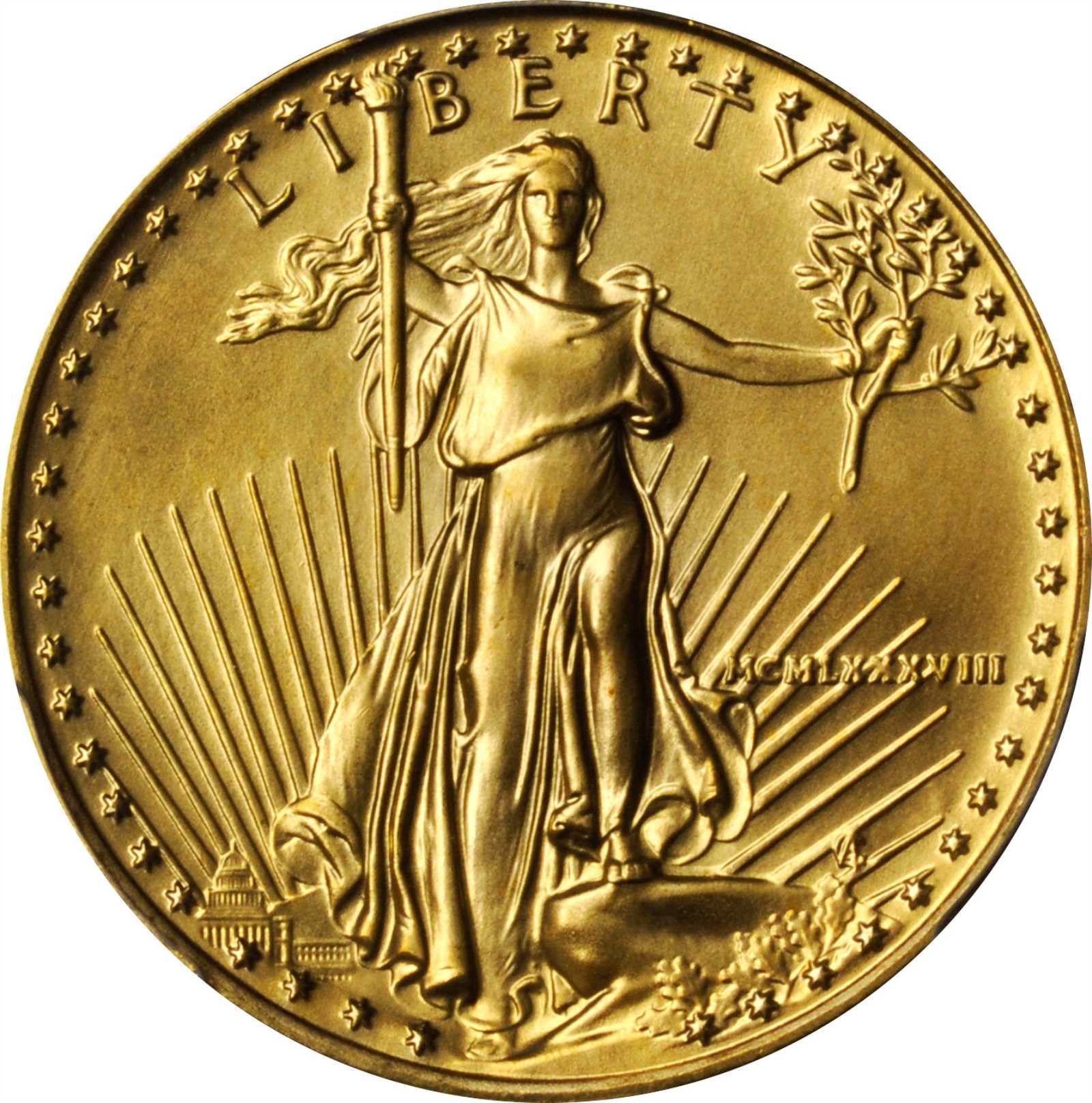 image for: 1988 Half-Ounce Gold Eagle. MS-69 (PCGS).