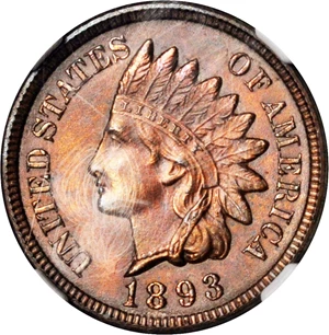 image for: 1893 Indian Cent. MS-64 RB (NGC).