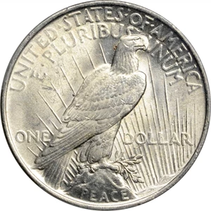 image for: 1923 Peace Silver Dollar. VAM-1C. Top 50 Variety. Tail on O. MS-60 (PCGS).