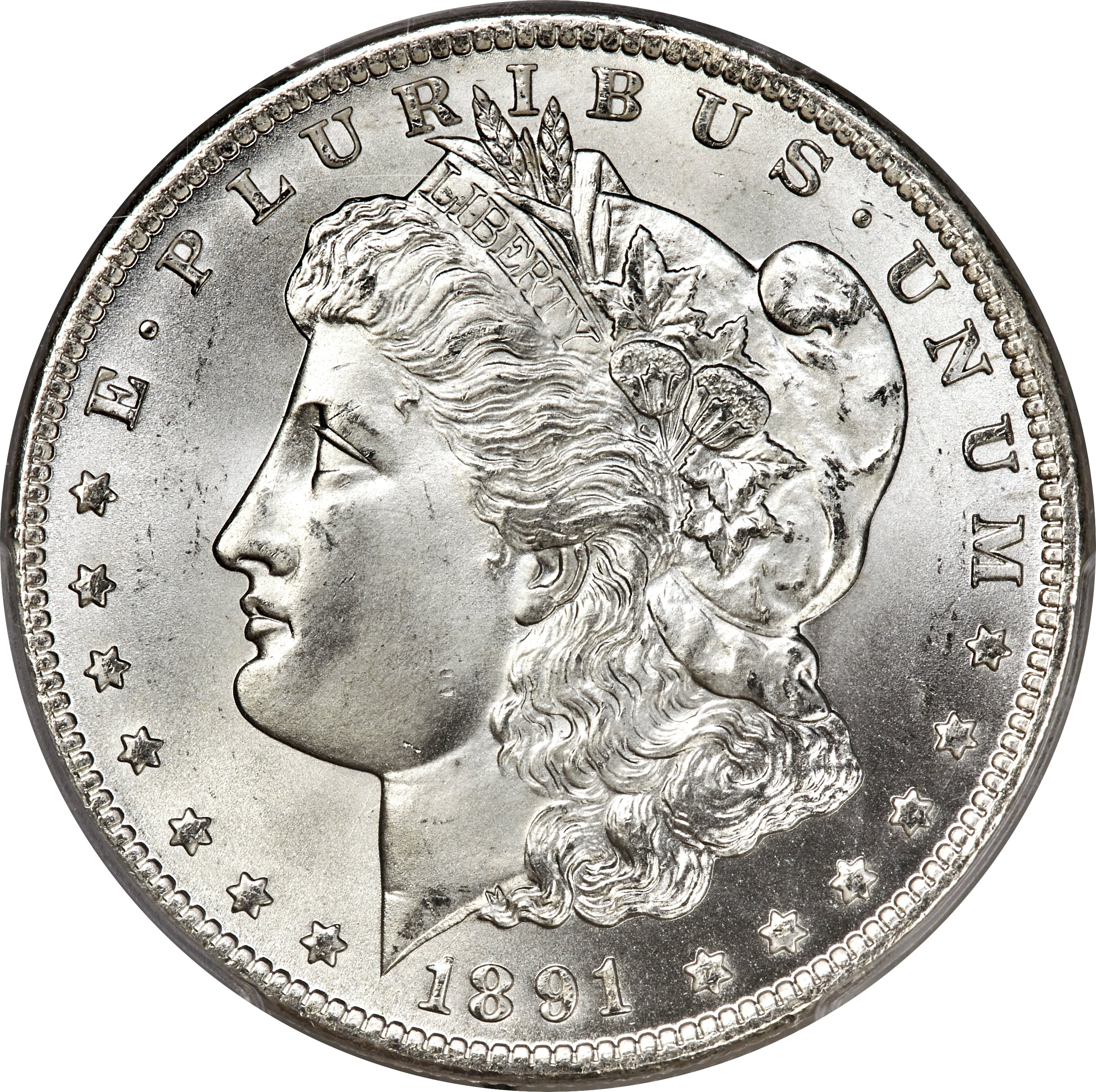 1891 CC Morgan Dollar Spitting Eagle VAM 3 Coin Pricing Guide