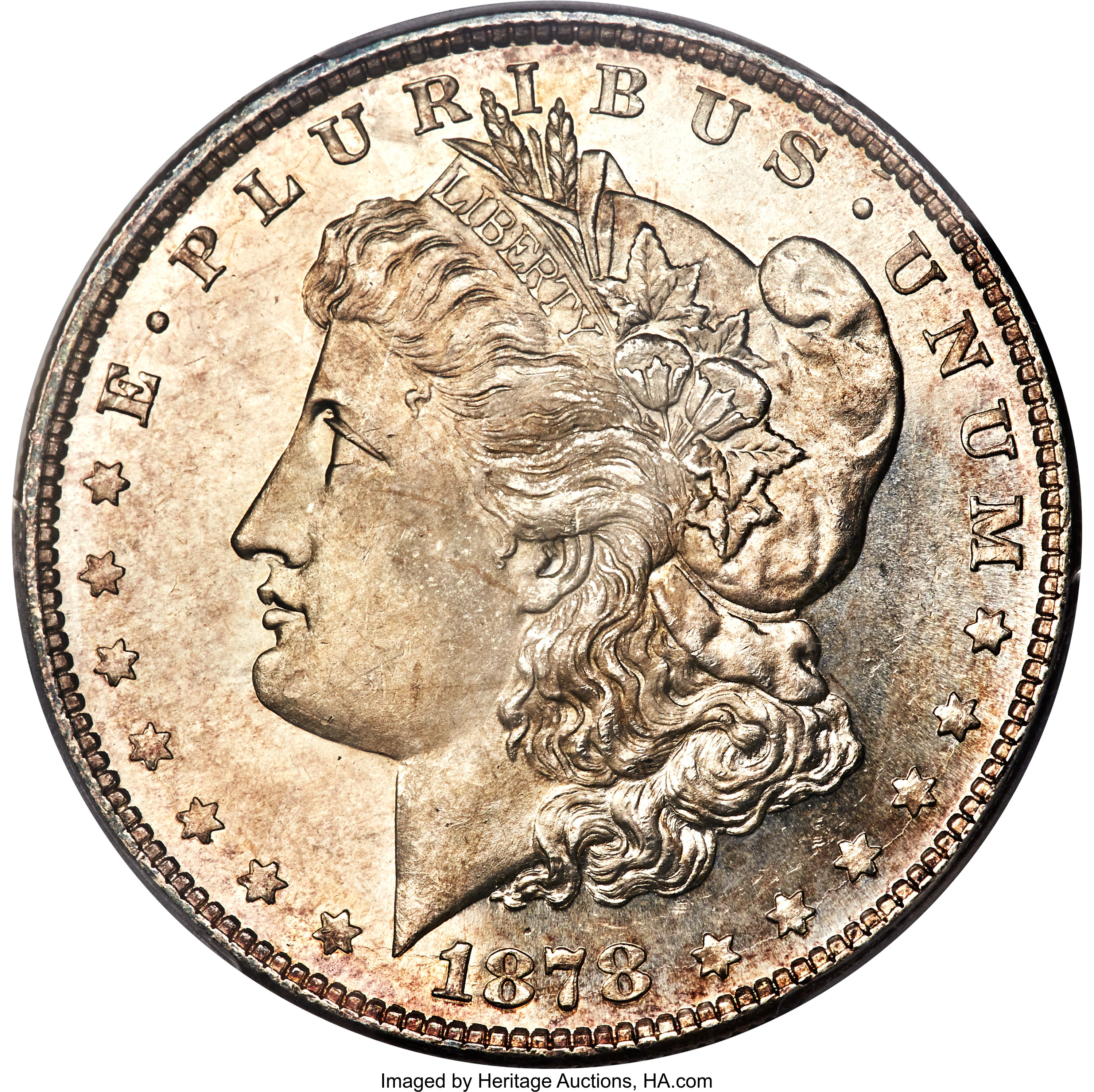 image for: 1878 8TF $1 Denticle Chip, VAM-4, MS66 PCGS....