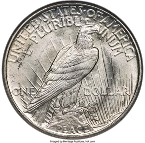 image for: 1921 $1 MS67 NGC....