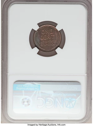 image for: 1928-D 1C MS65 Brown NGC. NGC Census: (19/3). PCGS Population: (20/2). CDN: $155 Whsle. Bid for NGC/PCGS MS65. Mintage 31,1...