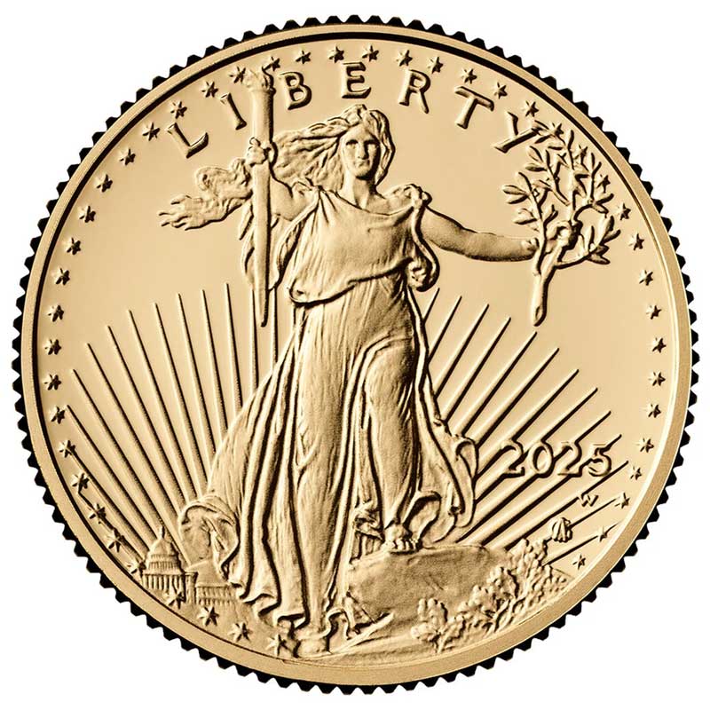 American Gold Eagle (AGE) $10 1/4 Ounce PR DCAM [Type]
