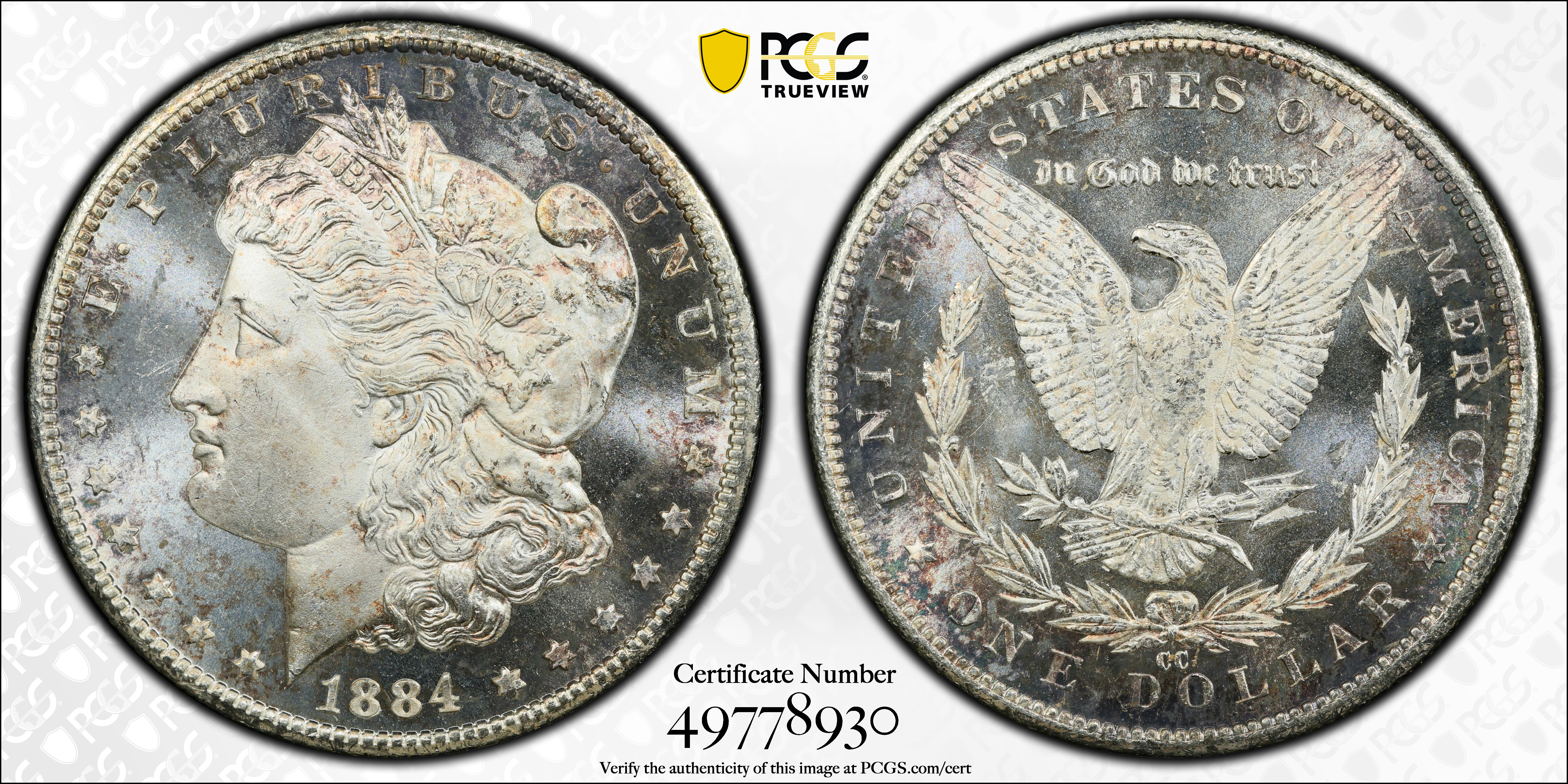 Image for 1893 $1  MS PL