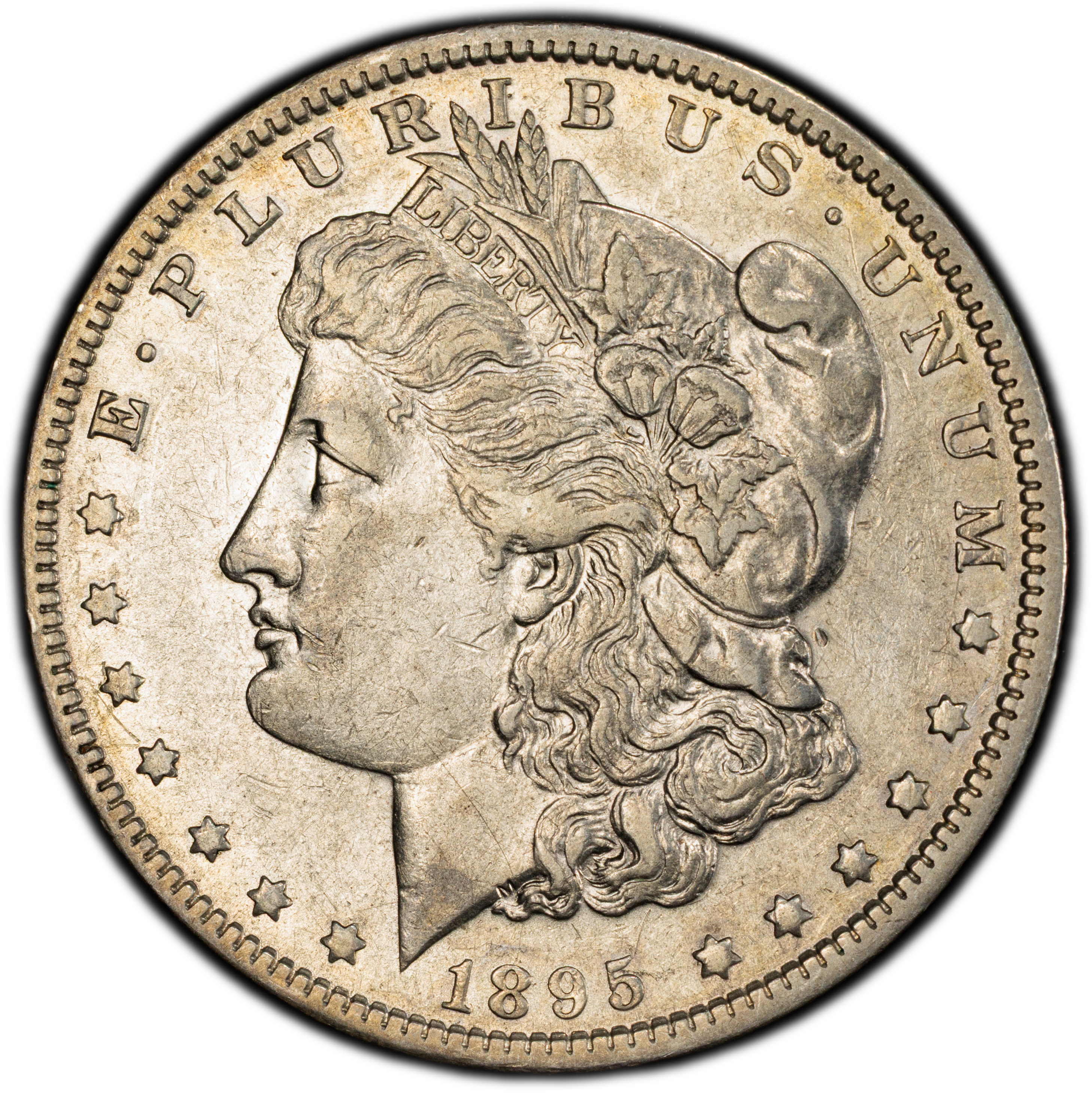 1895-O $1 MS