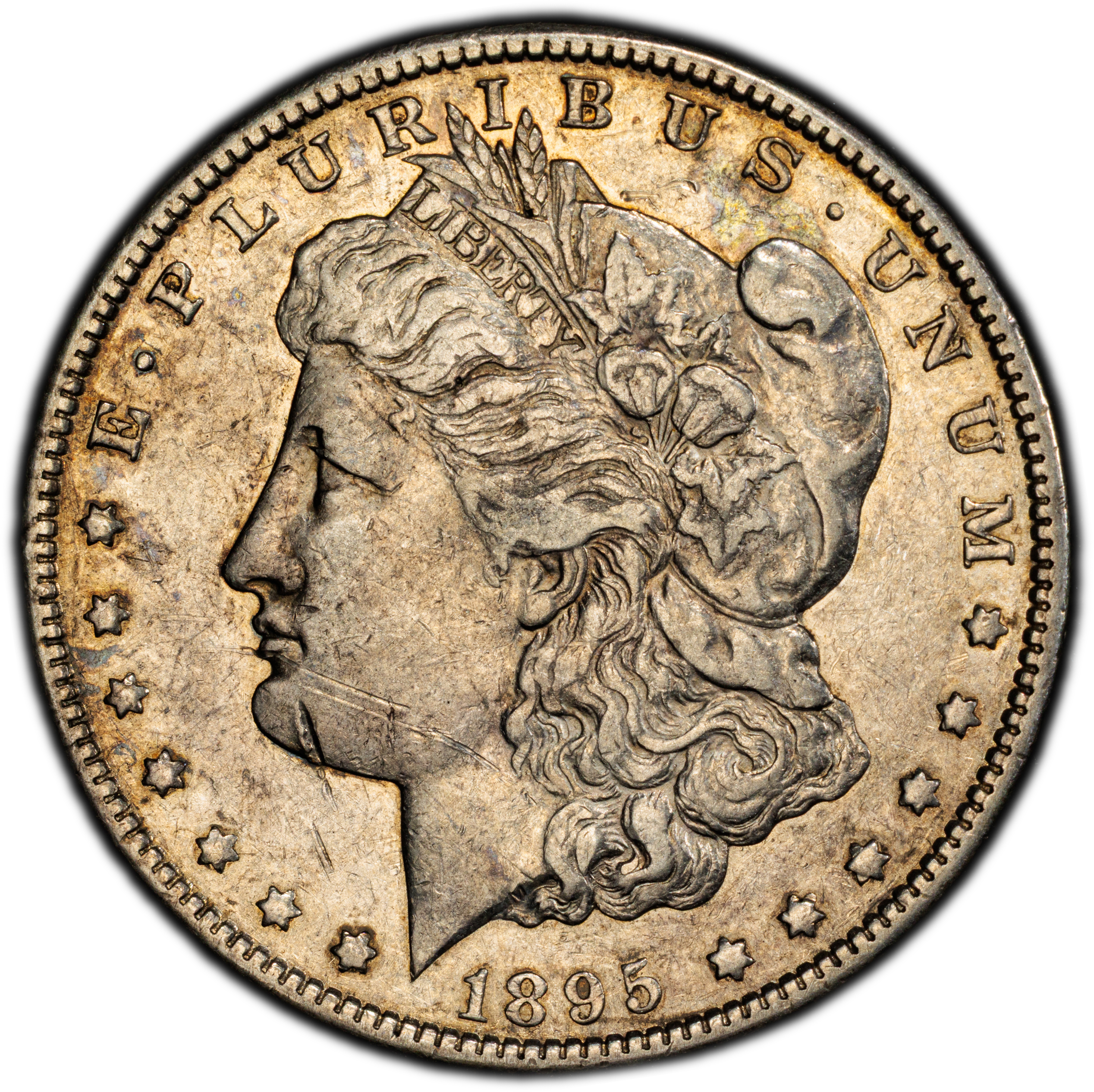 1895-S $1 MS