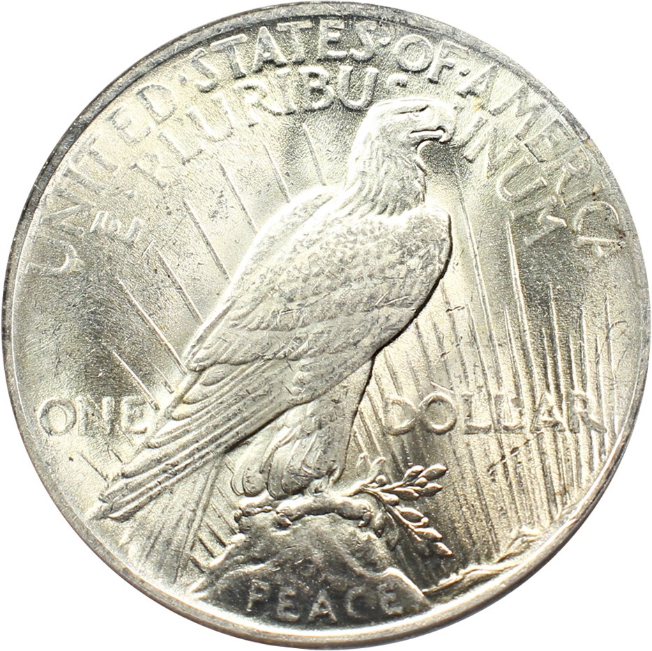 image for: Top 50 VAM: 1922 $1 PCGS MS62 (VAM-6, Doubled Leaves)