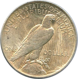 image for: Top 50 VAM: 1922 $1 PCGS AU58 (VAM-5, Tripled Leaves)