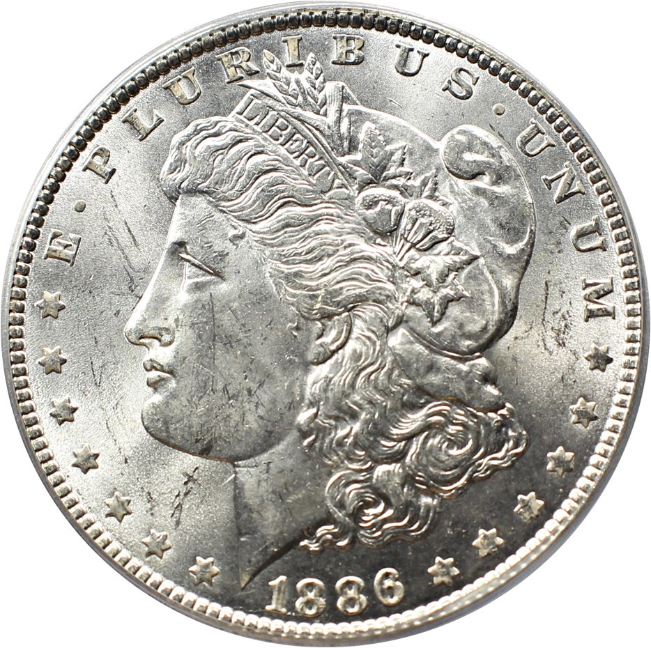 image for: Top 100 VAM: 1886 $1 PCGS MS63 (VAM-1A, Line in 6)