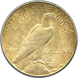 image for: Top 50 VAM: 1923-S $1 PCGS XF45 (VAM-1C, Pitted Reverse)