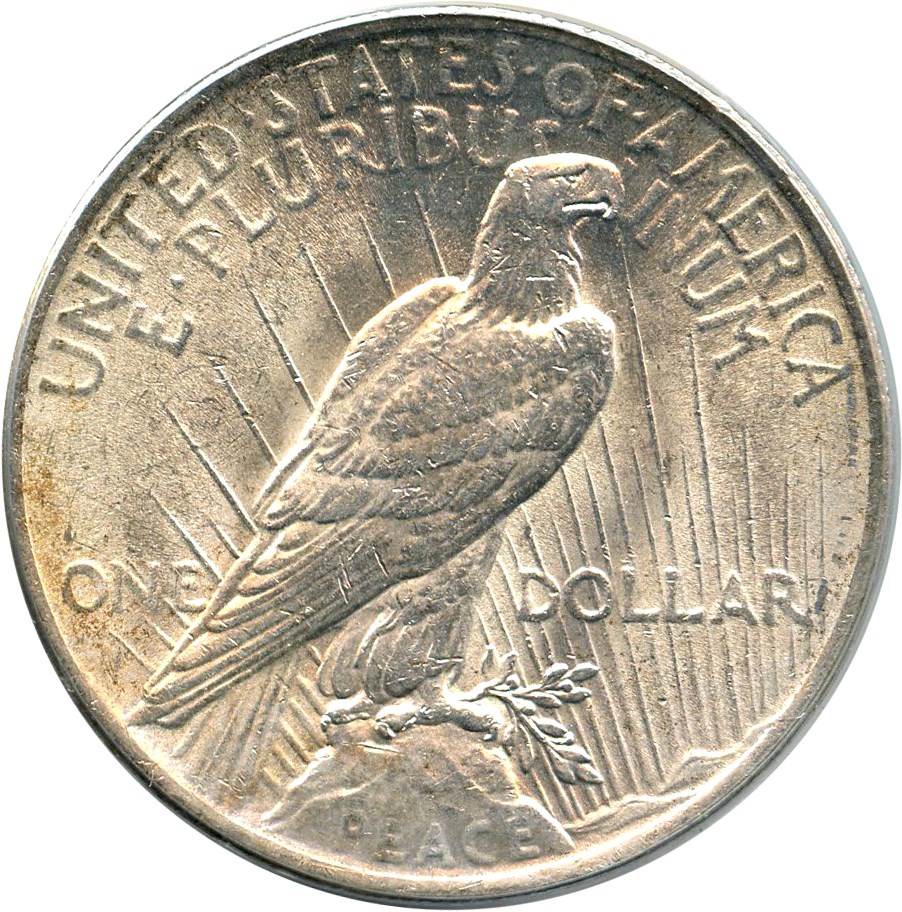 image for: 1923 $1 PCGS AU58 (VAM-1V, Extra Hair) 