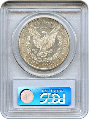 image for: 1878 7TF $1 PCGS AU50 (Reverse of 1878, VAM-30, Extra Talons)