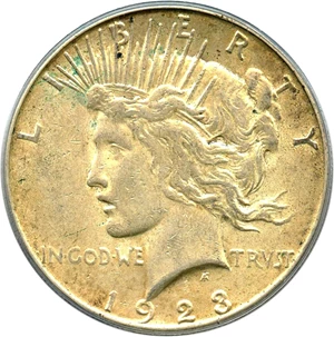 image for: Top 50 VAM: 1923-S $1 PCGS XF45 (VAM-1C, Pitted Reverse)