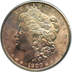image for: Top 100 VAM: 1900 $1 PCGS MS64 (VAM-24, Doubled Wing)
