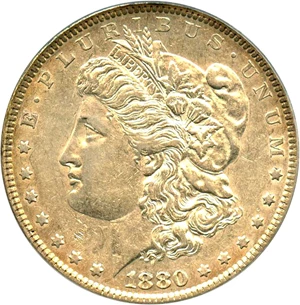image for: Top 100 VAM: 1880 $1 PCGS AU50 (VAM-6, 8/7 Spikes)