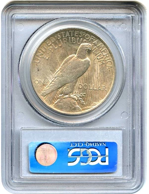 image for: Top 50 VAM: 1922 $1 PCGS AU58 (VAM-5, Tripled Leaves)