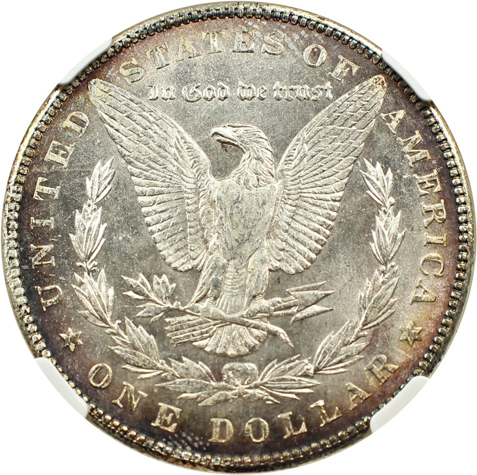 image for: 1889 $1 NGC MS64 PL