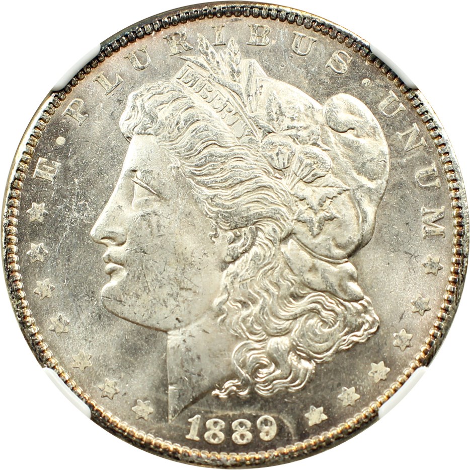 image for: 1889 $1 NGC MS64 PL
