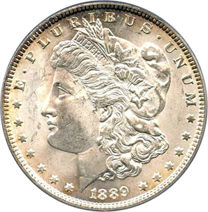 image for: Top 100 VAM: 1889 $1 PCGS MS64 (VAM-19A, Bar Wing)