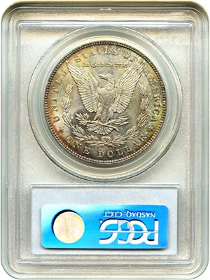 image for: Hot 50 VAM: 1896 $1 PCGS MS64 (VAM-20, Bar 6)