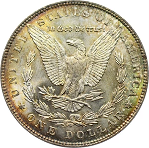 image for: Hot 50 VAM: 1896 $1 PCGS MS64 (VAM-20, Bar 6)