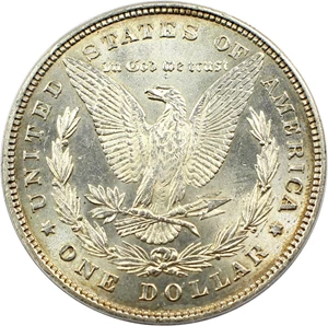 image for: 1878 8TF $1 PCGS MS62 (VAM-14, Chip in Ear)