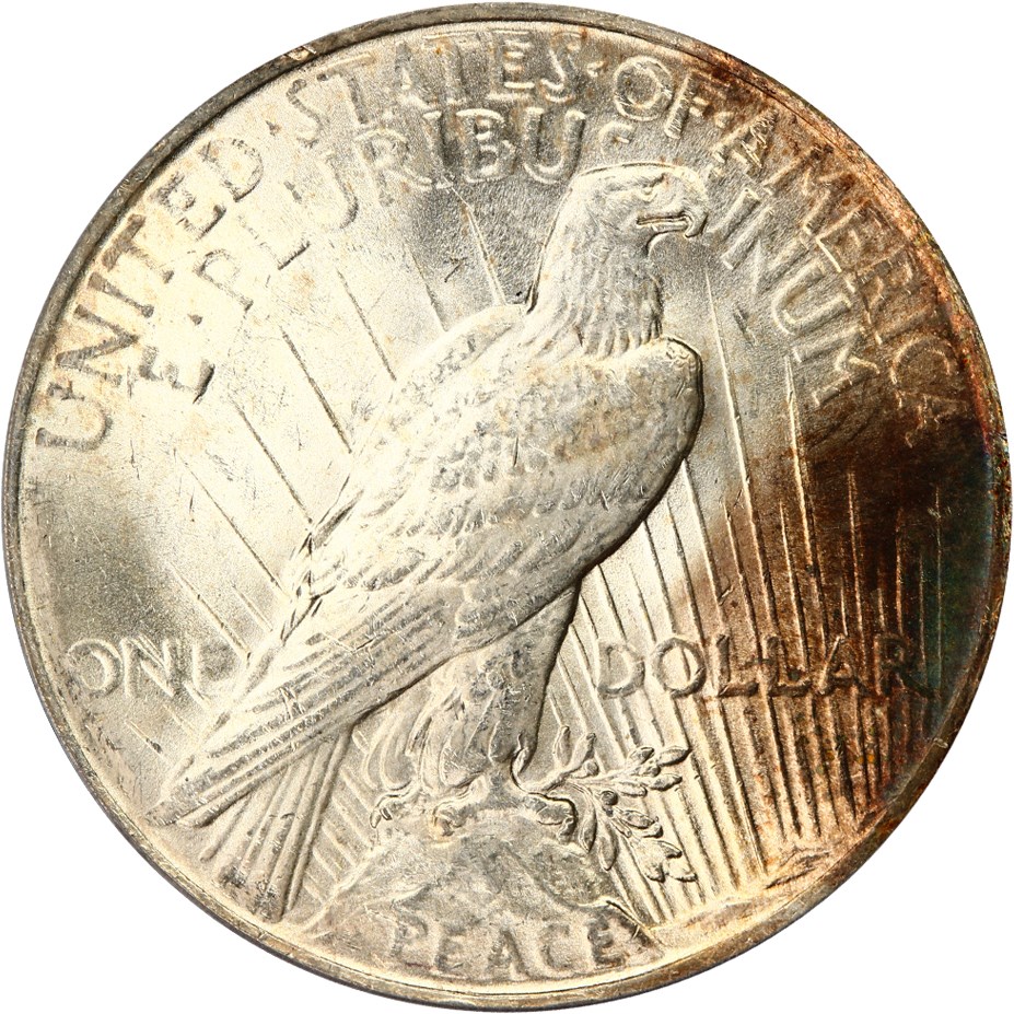 image for: Top 50 VAM: 1922 $1 PCGS MS63 (VAM-7, Doubled Wing)