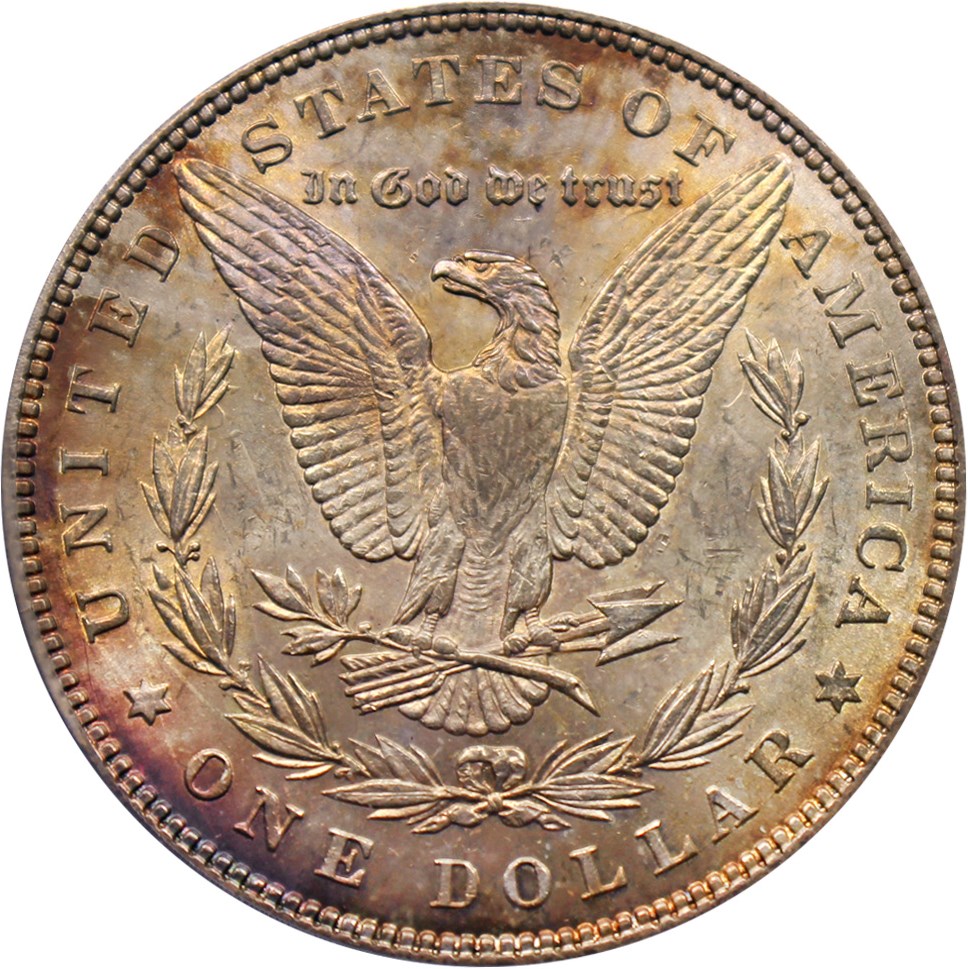 image for: Hot 50 VAM: 1884 $1 PCGS MS62 (VAM-2A, Partial E Rev)