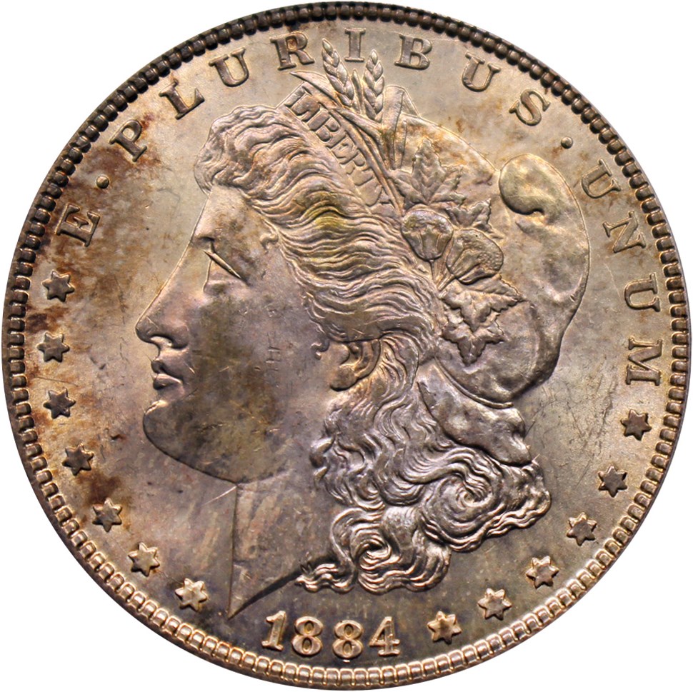 image for: Hot 50 VAM: 1884 $1 PCGS MS62 (VAM-2A, Partial E Rev)