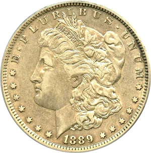 image for: Top 100 VAM: 1889-O $1 PCGS XF45 (VAM-6, Doubled Date)