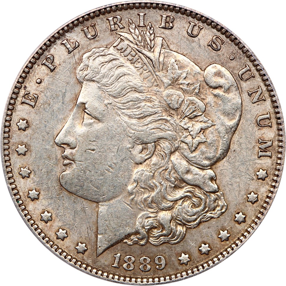 image for: Top 100 VAM: 1889 $1 PCGS XF45 (VAM-22, Bar Wing)