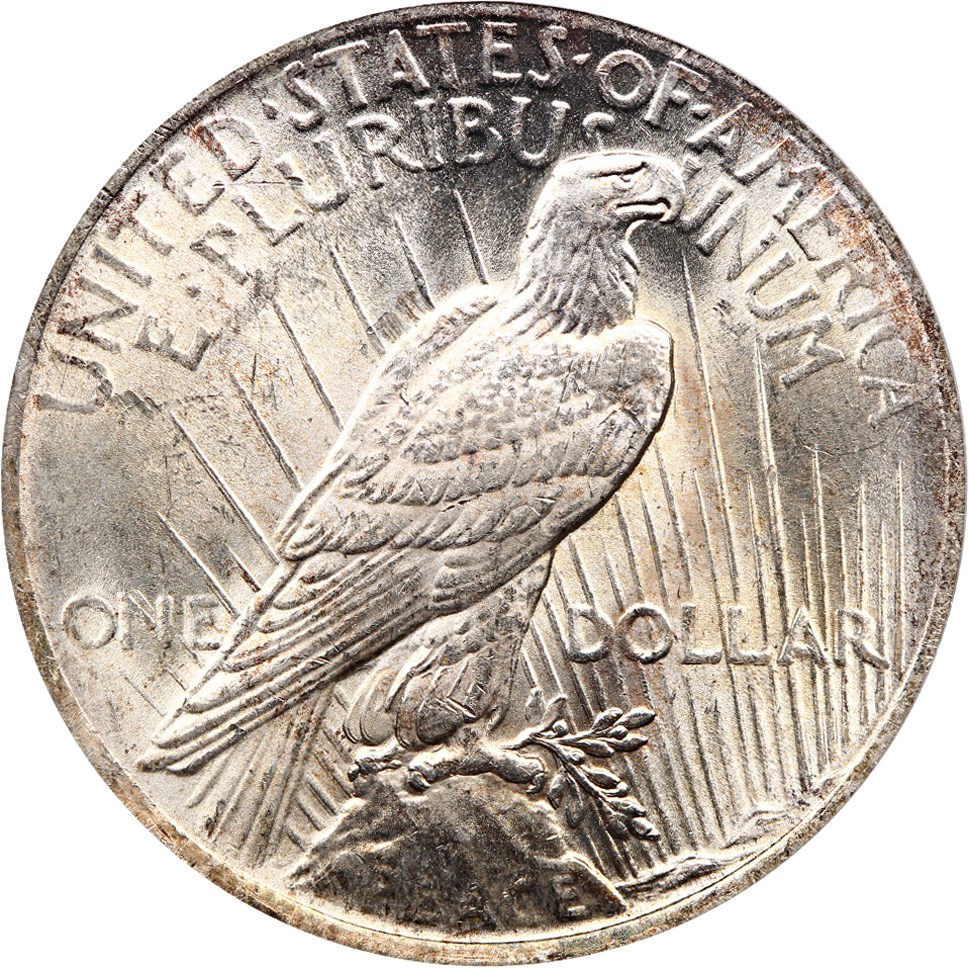 image for: Top 50 VAM: 1922 $1 PCGS MS62 (VAM-6, Doubled Leaves)